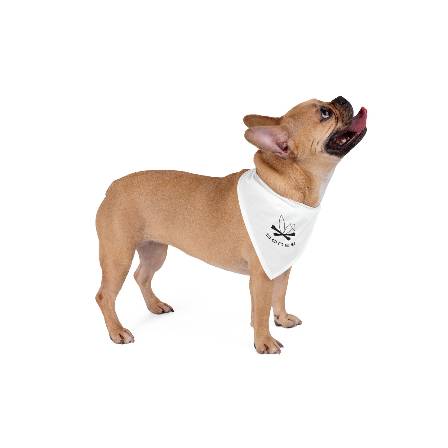 Bones Dog Bandana