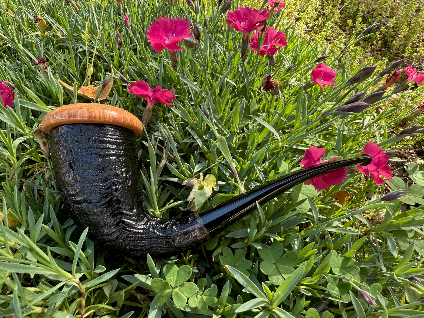 Calabash
