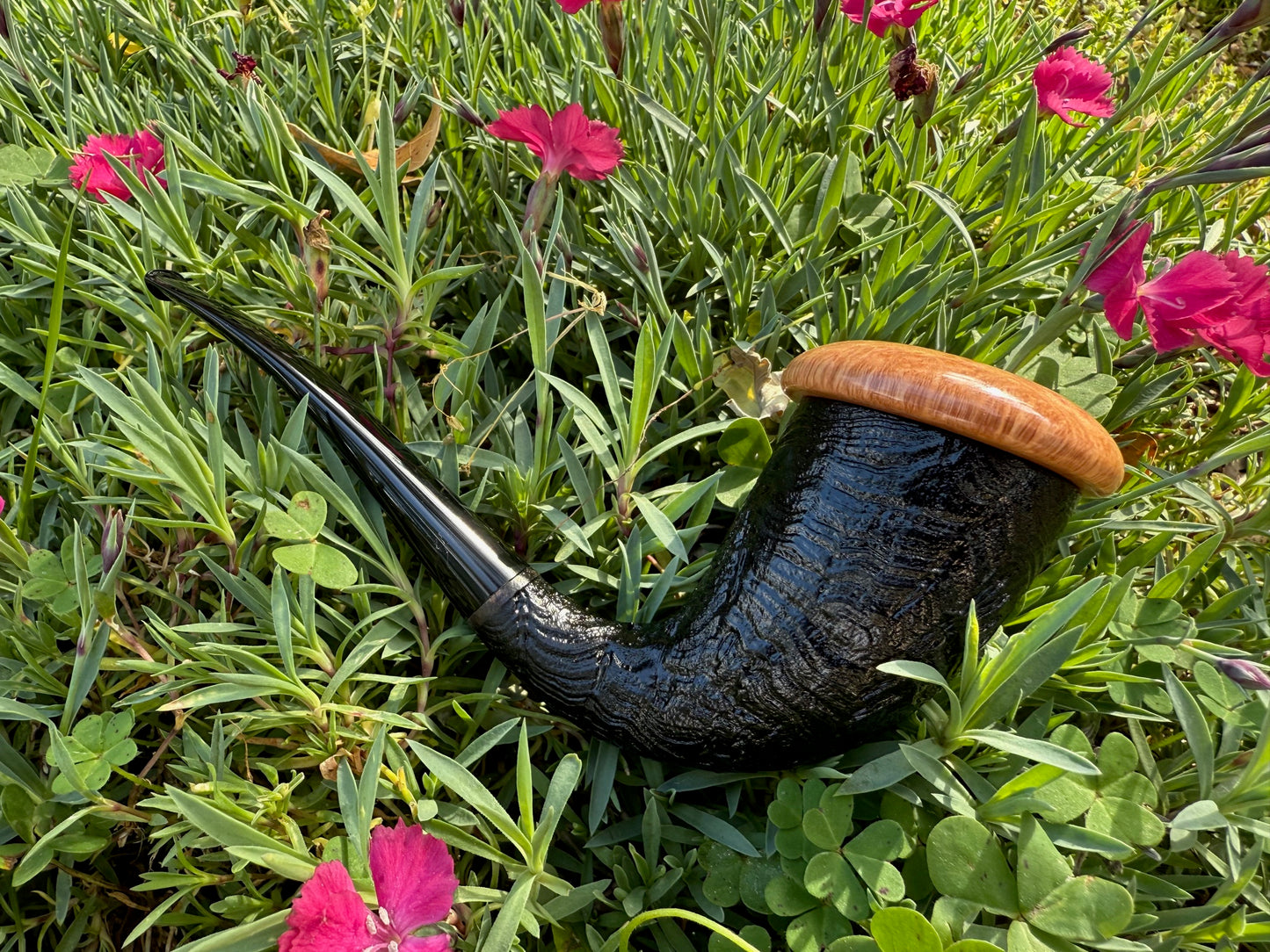 Calabash