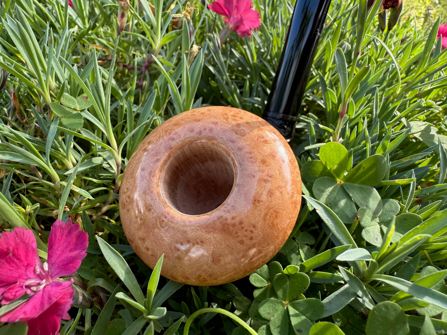 Calabash