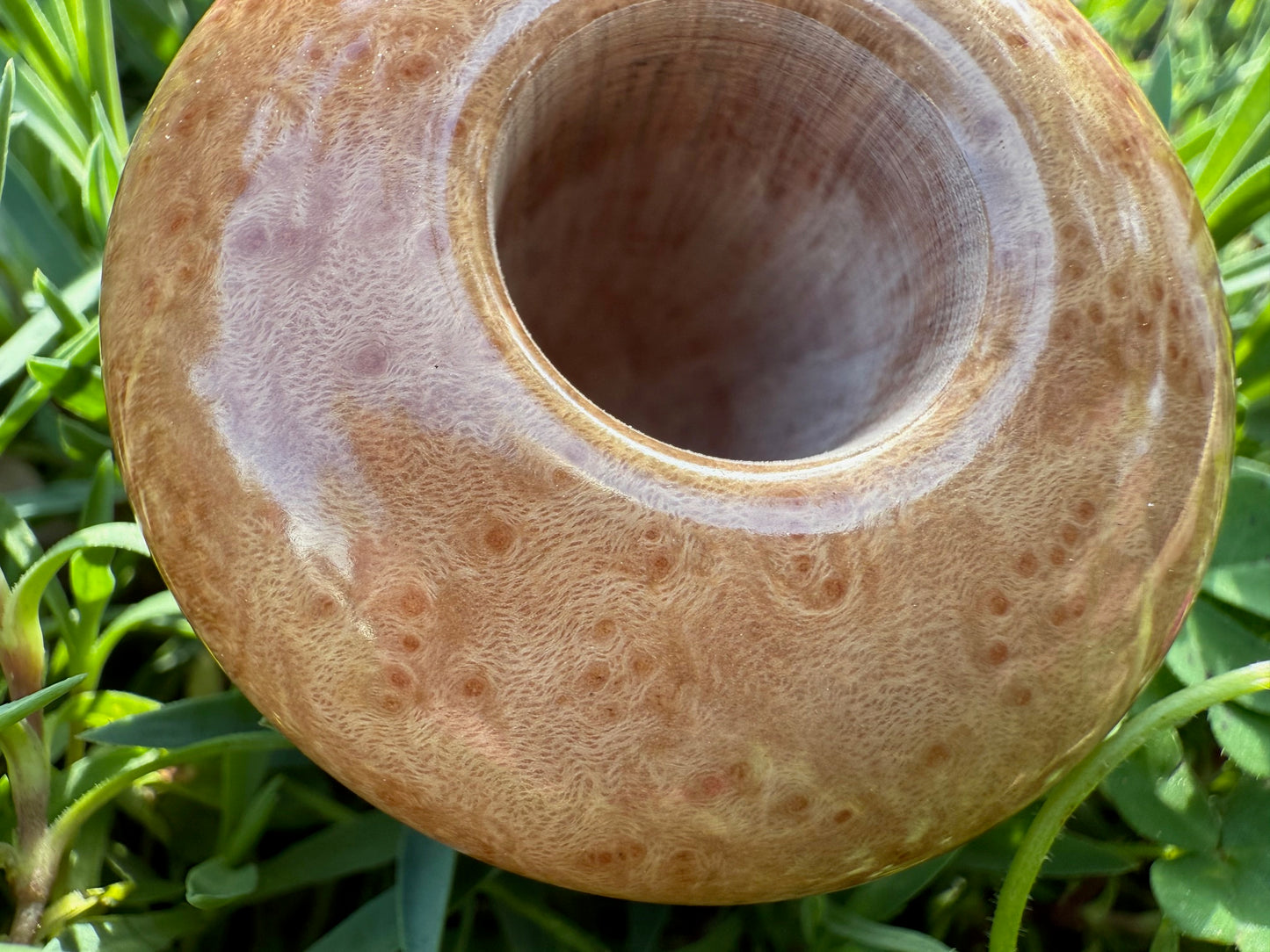 Calabash