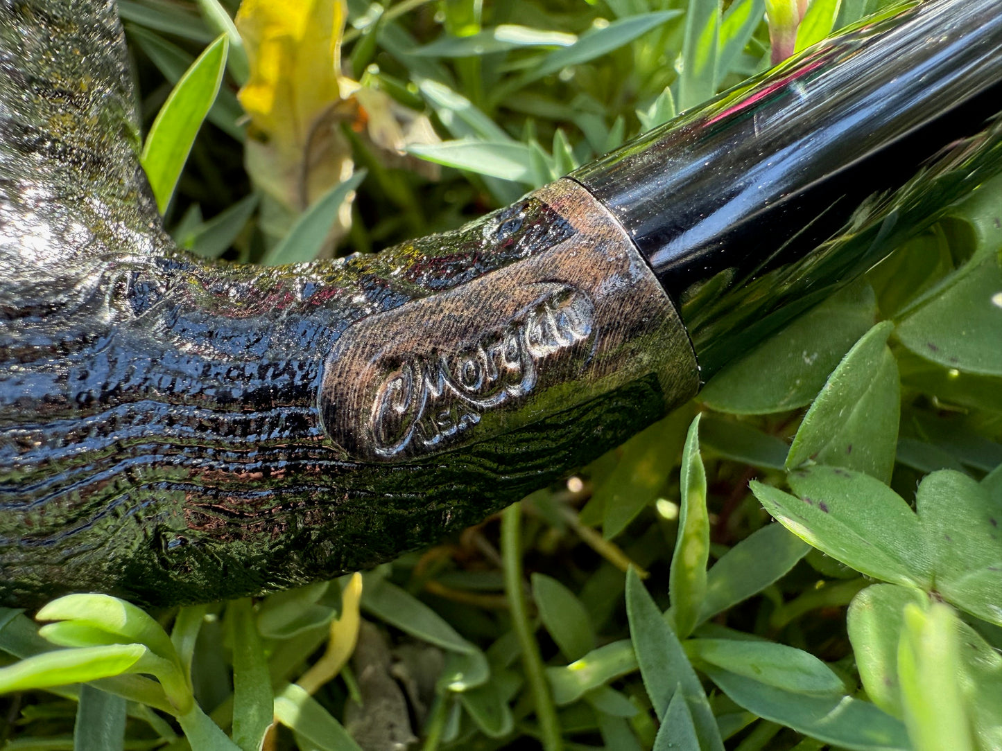 Calabash