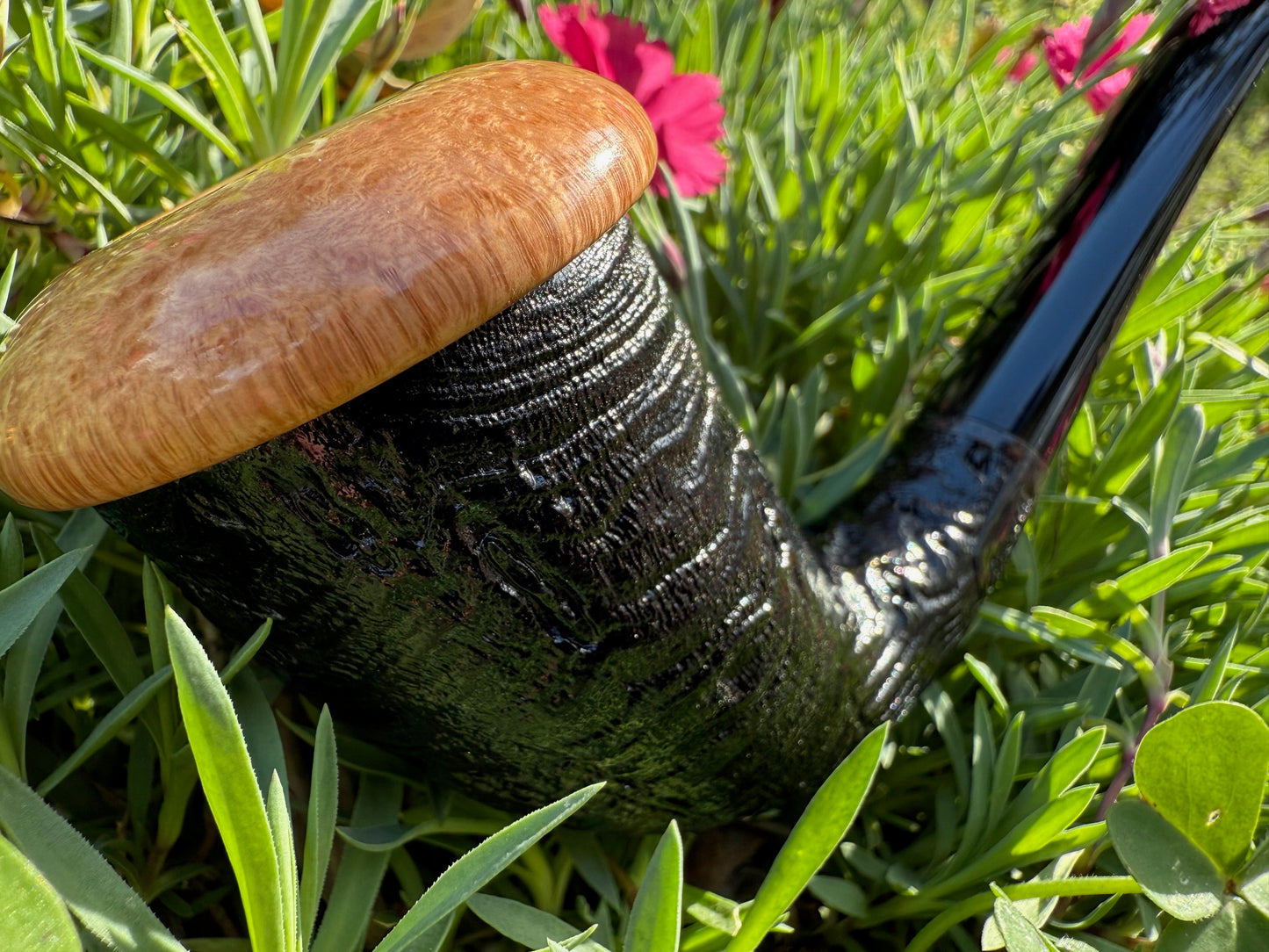 Calabash