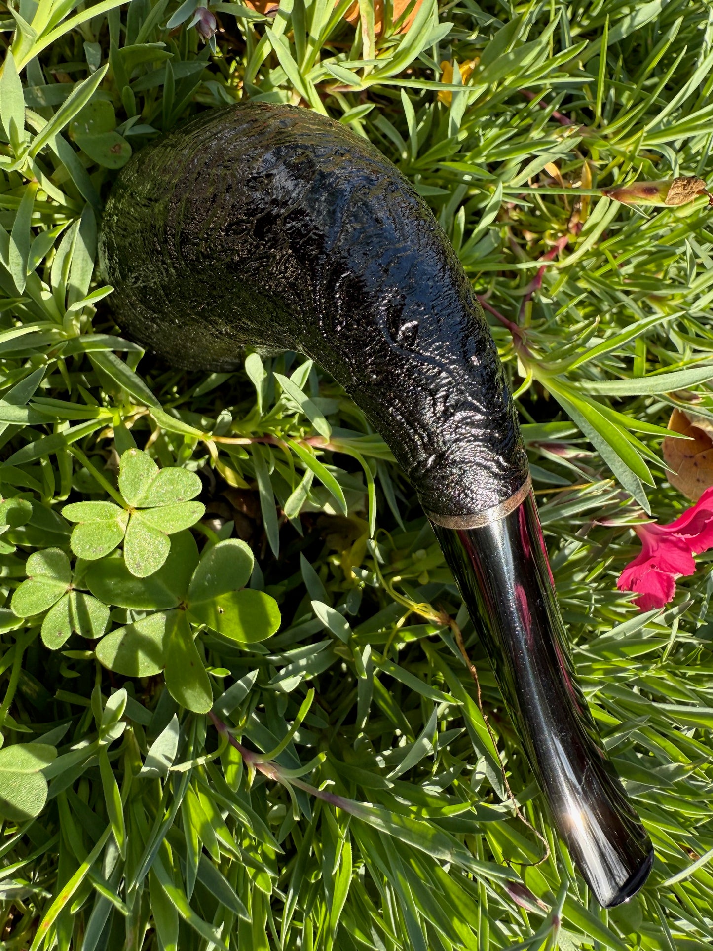 Calabash