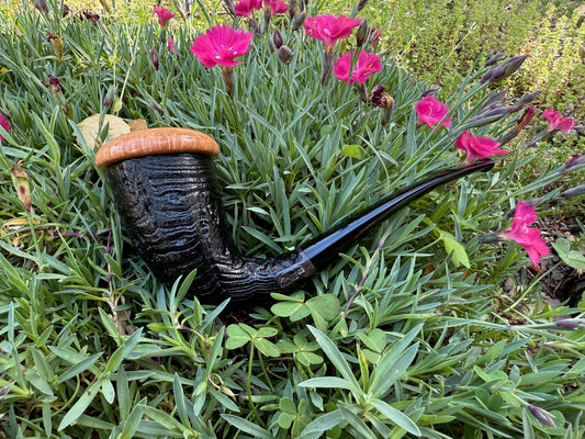 Calabash
