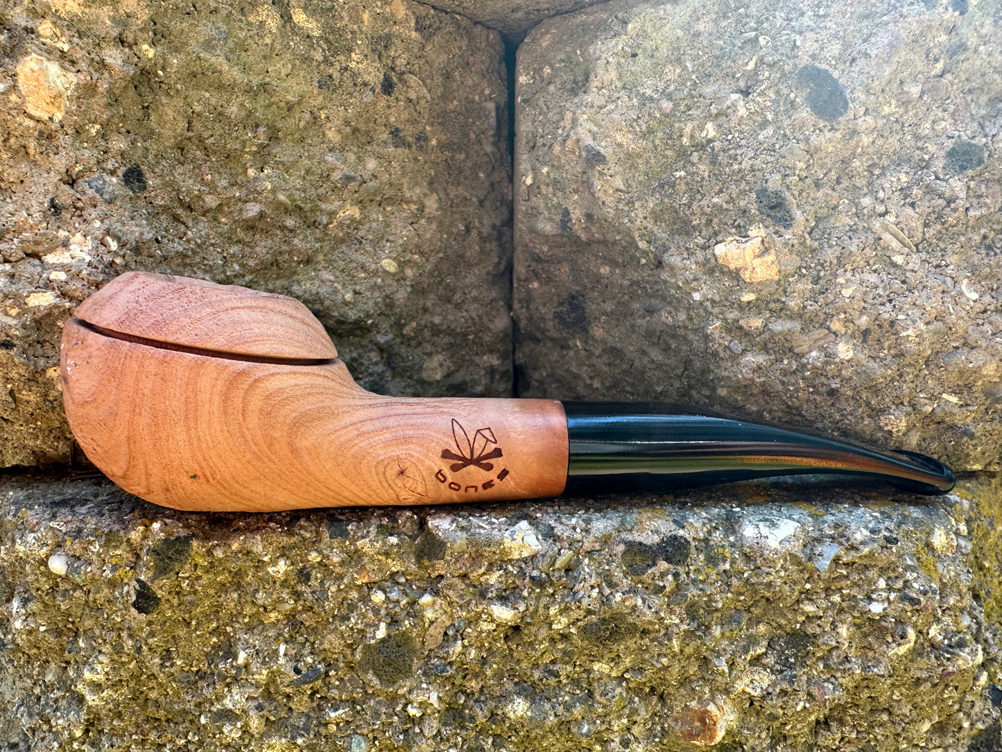 Bones- Deco Rhody