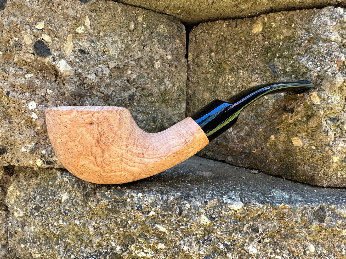 Bones- Man O War