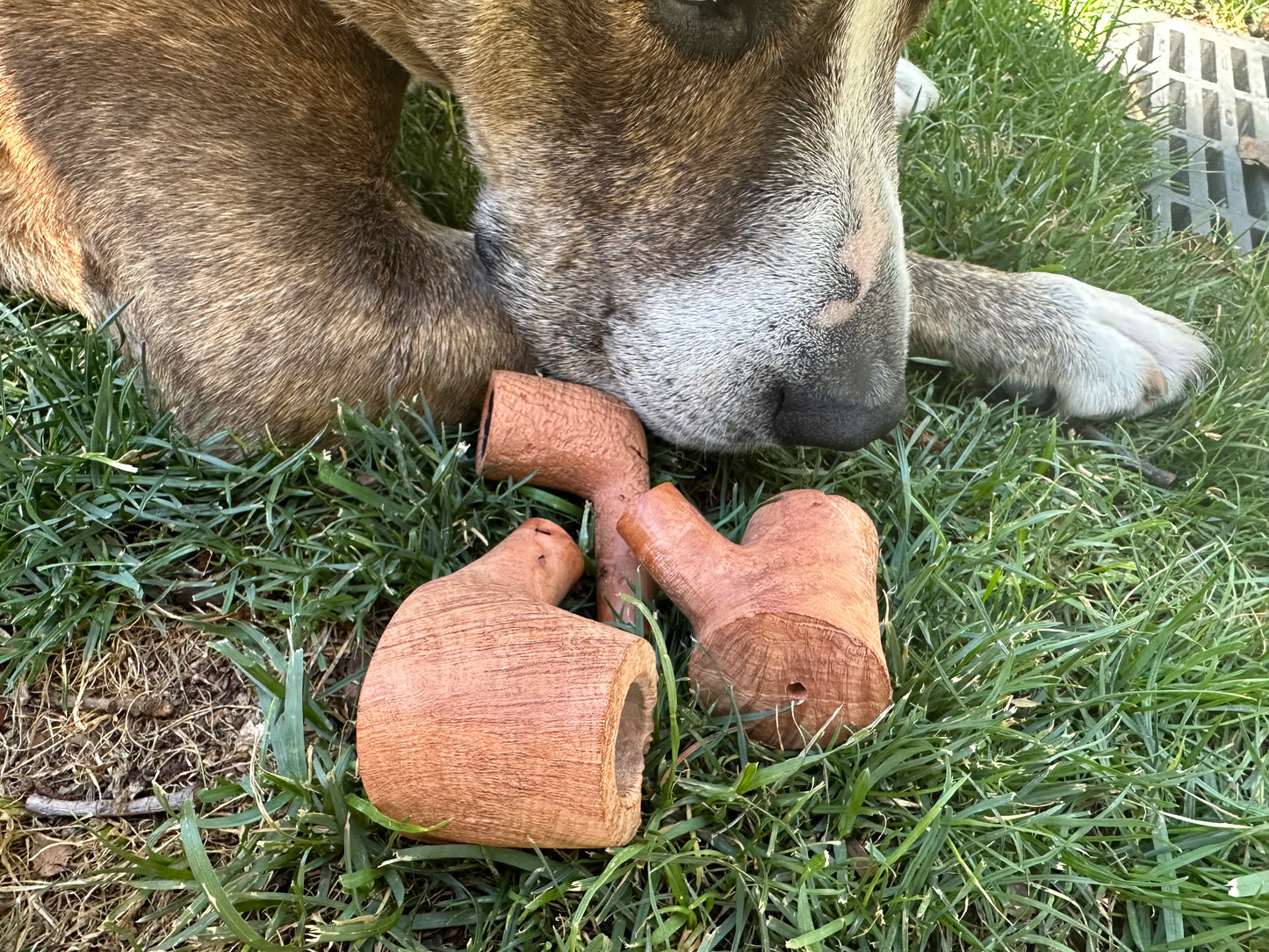 Dog Bones!