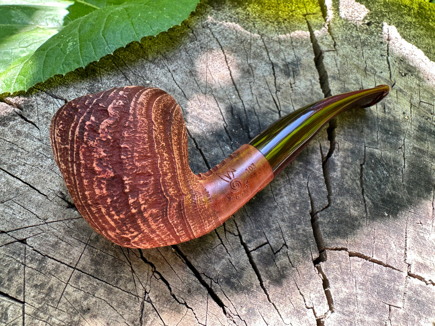 Arbutus 103