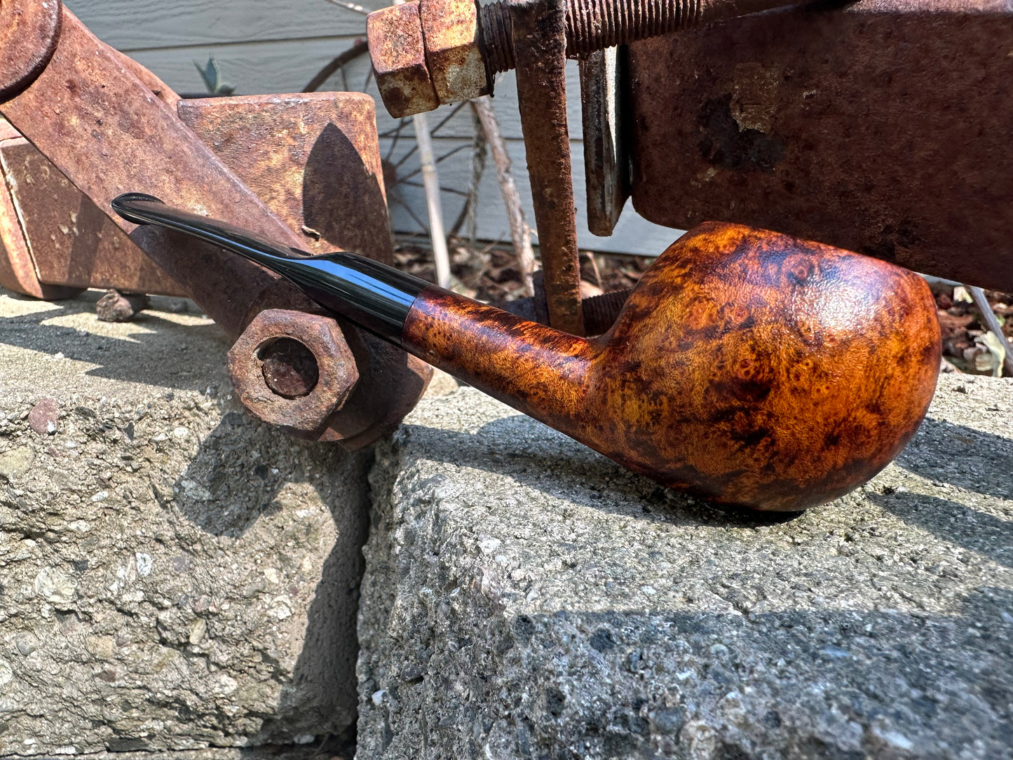 Workshop- Oval Author