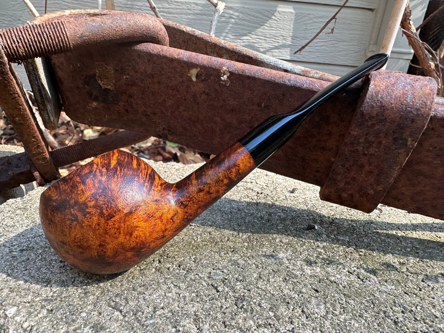 Workshop- Oval Author