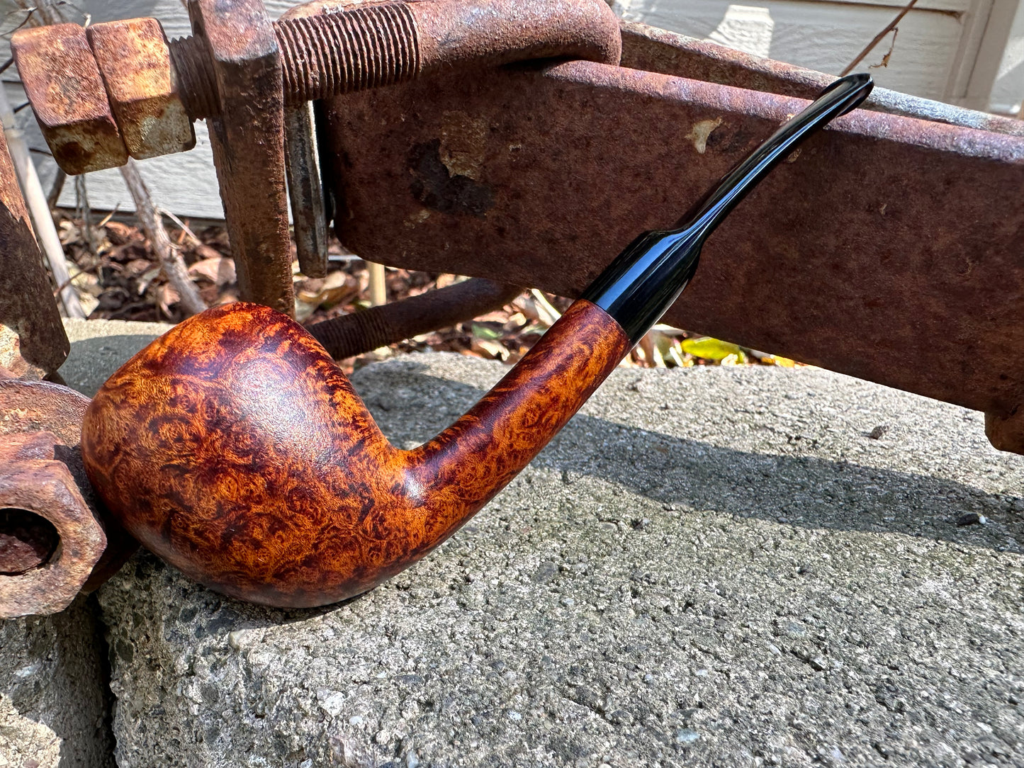 Workshop- Acorn