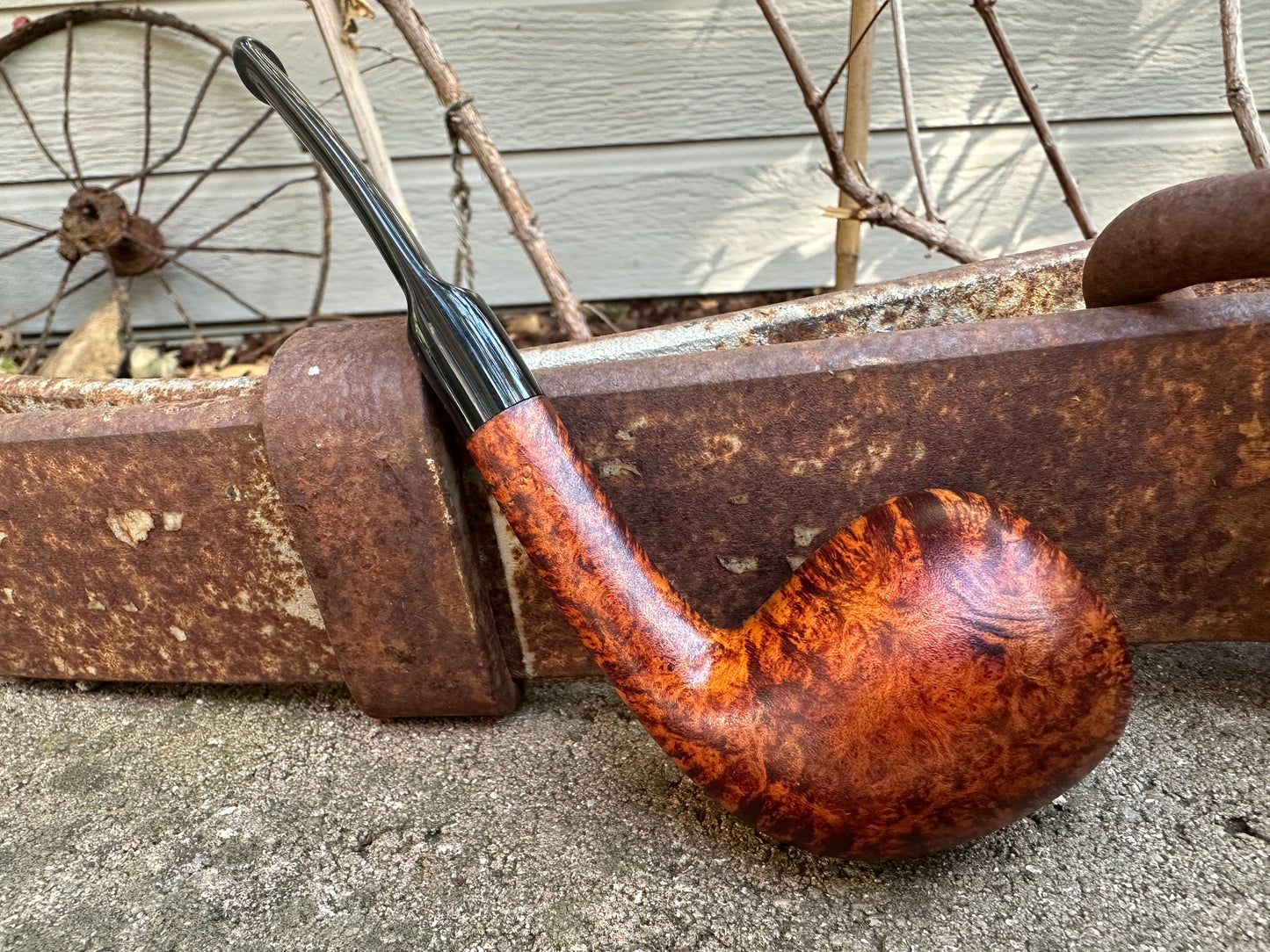 Workshop- Acorn