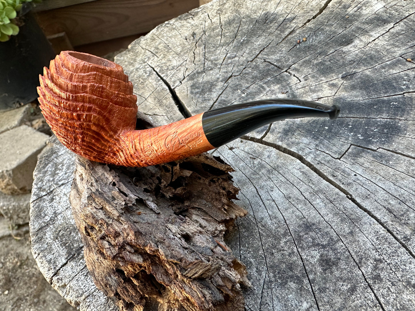 Witches Finger