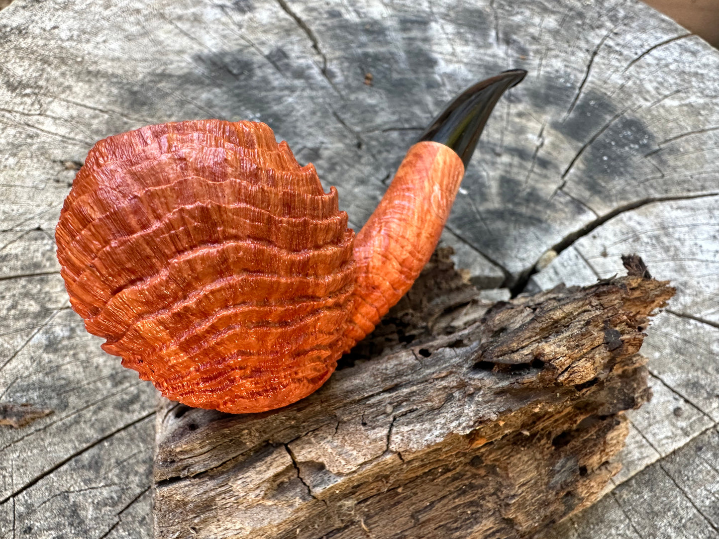 Witches Finger