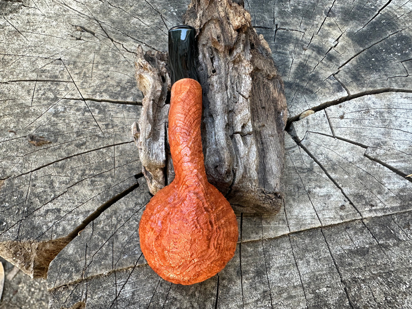 Witches Finger