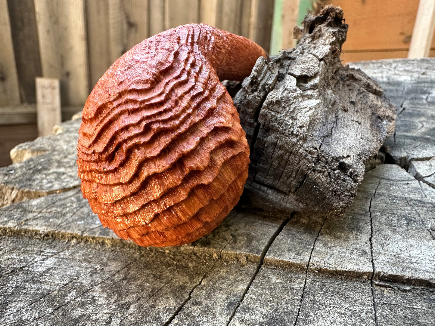 Witches Finger