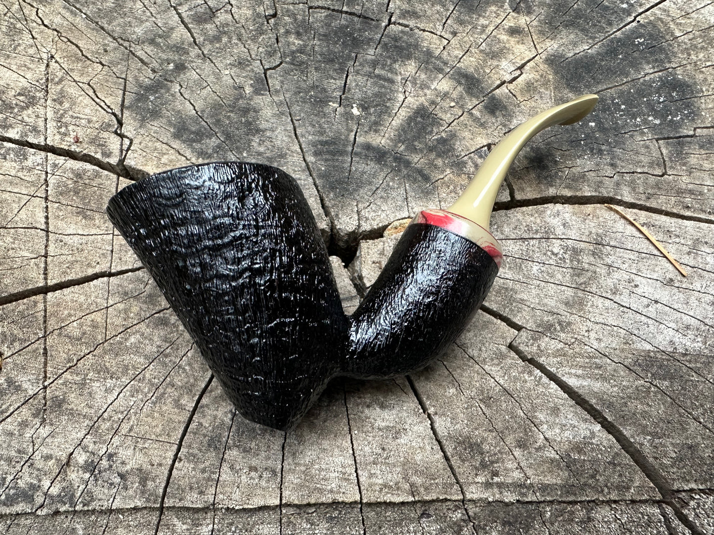 Mini Wasp RC