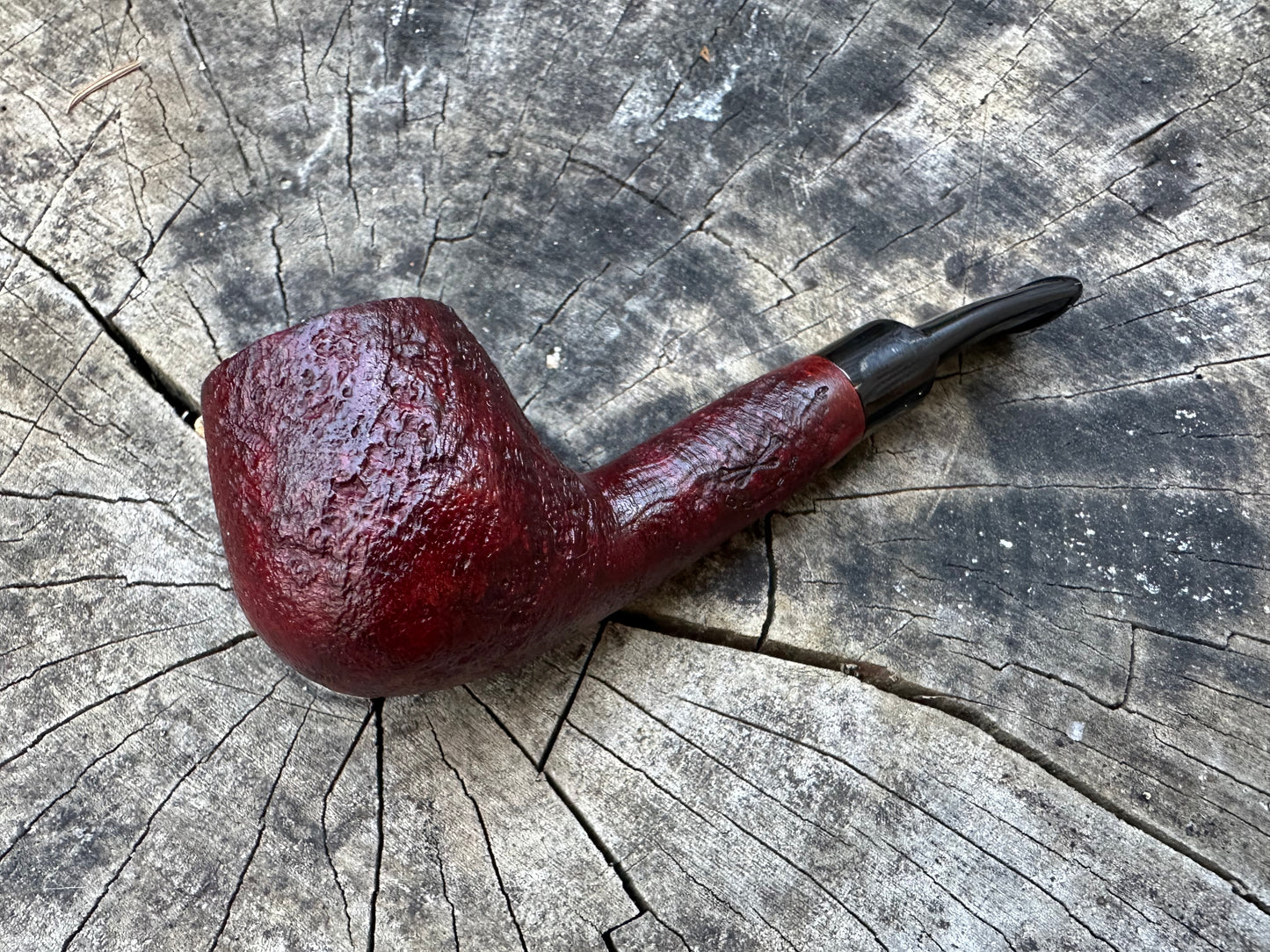 Bones- Saddle Billiard