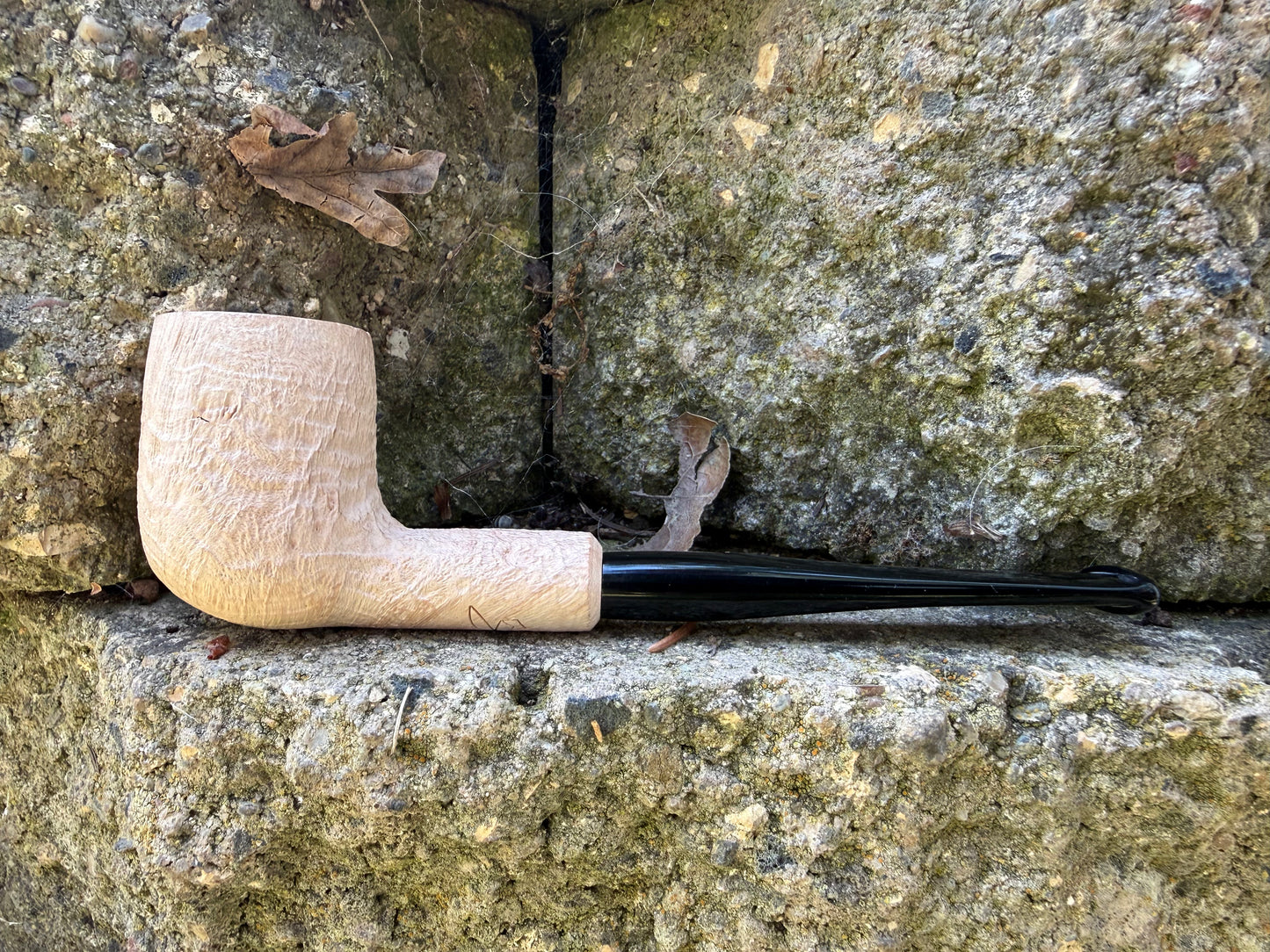 Bones- Elegant Billiard
