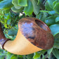 Calico Calabash