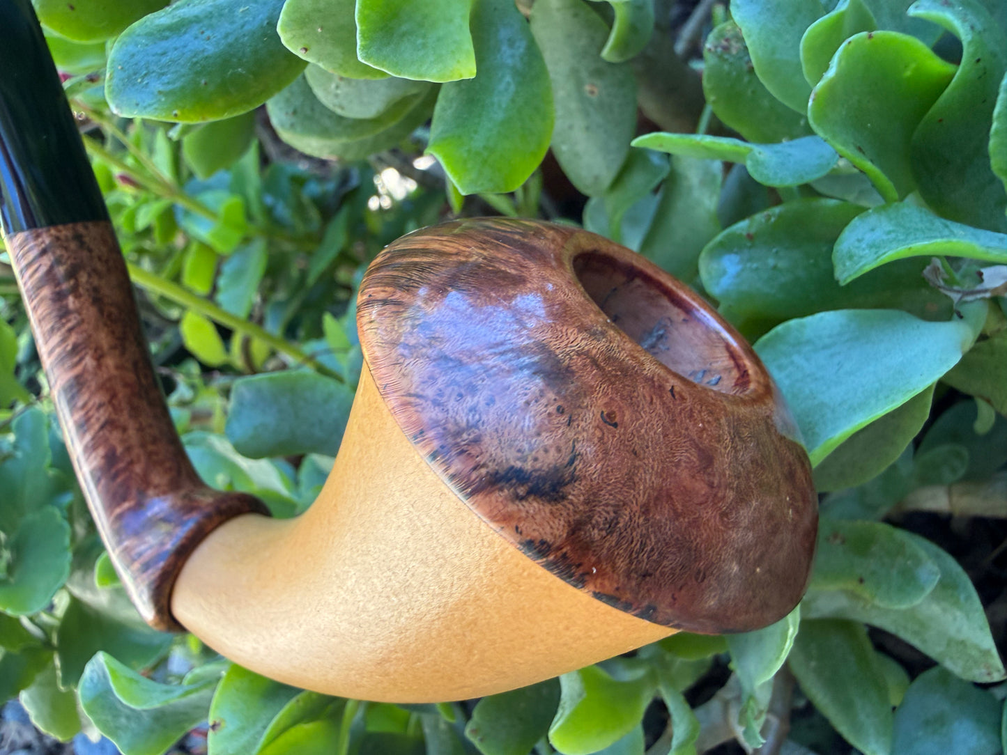 Calico Calabash