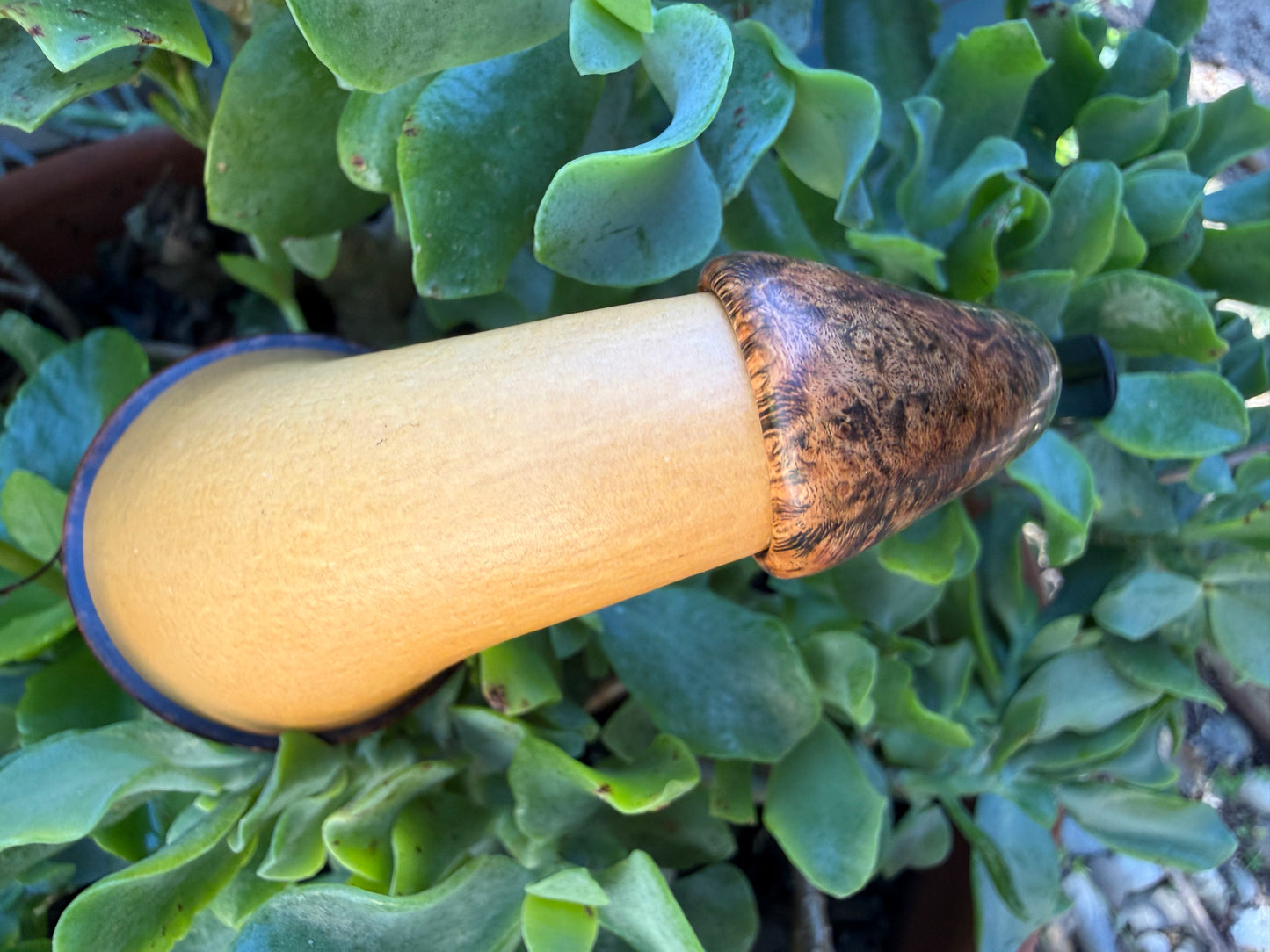Calico Calabash