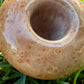 Calabash