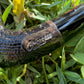 Calabash