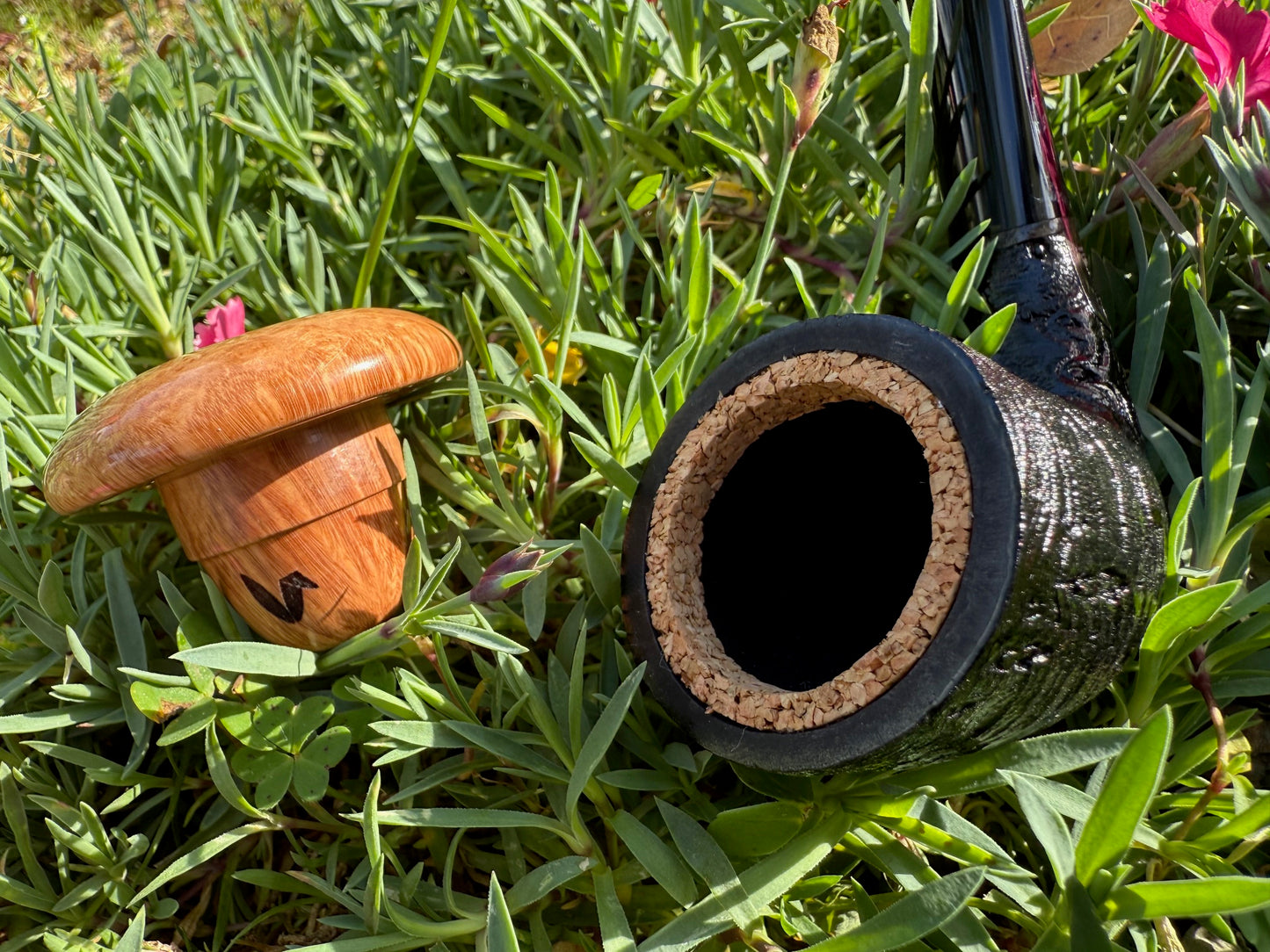 Calabash
