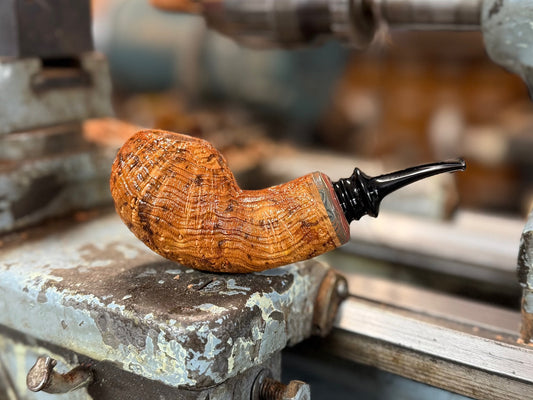 Speckled Arbutus RC