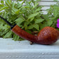 Danish Apple