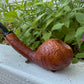 Danish Apple