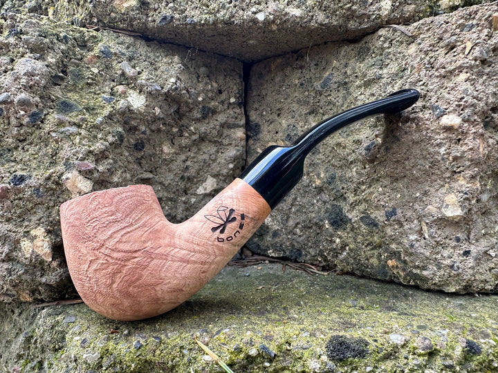 Bones – Morgan Pipes