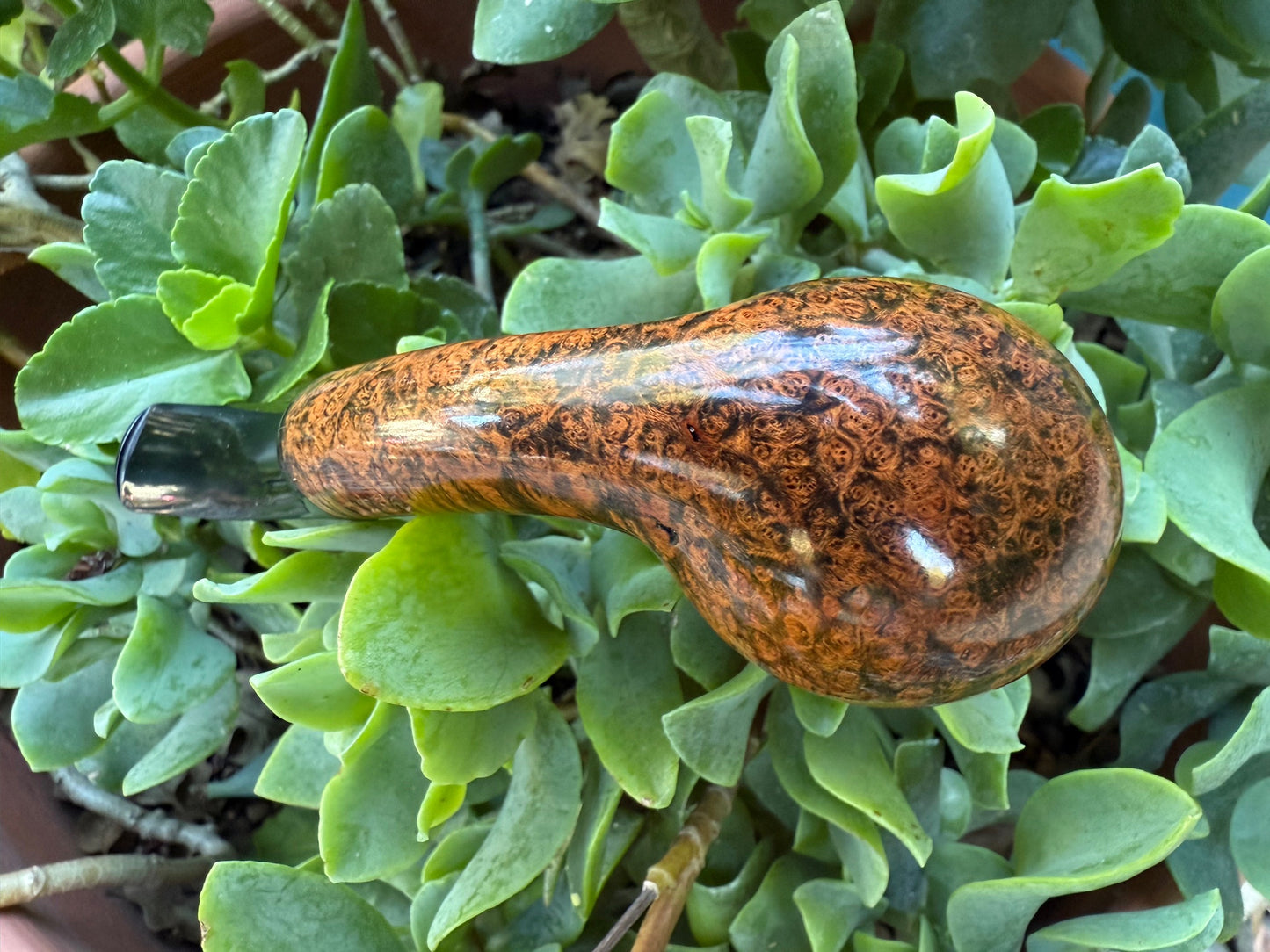 Danish Brandy