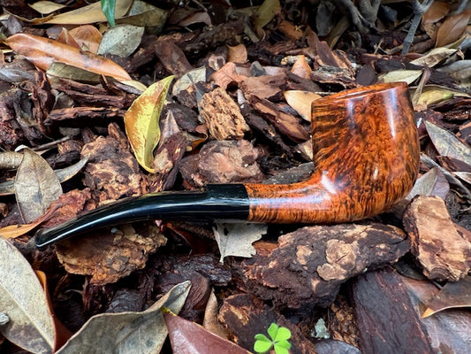 Workshop- Smooth Billiard