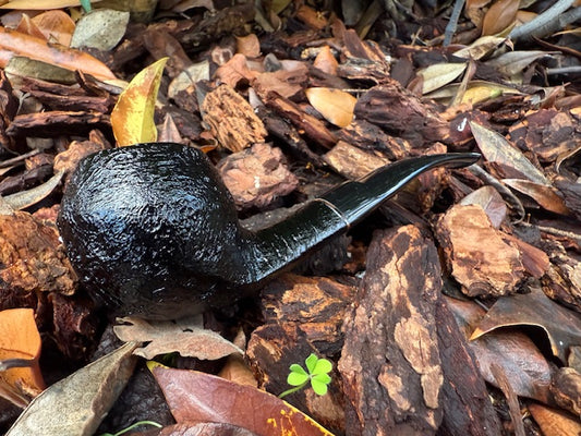 Workshop- Black Rhodesian