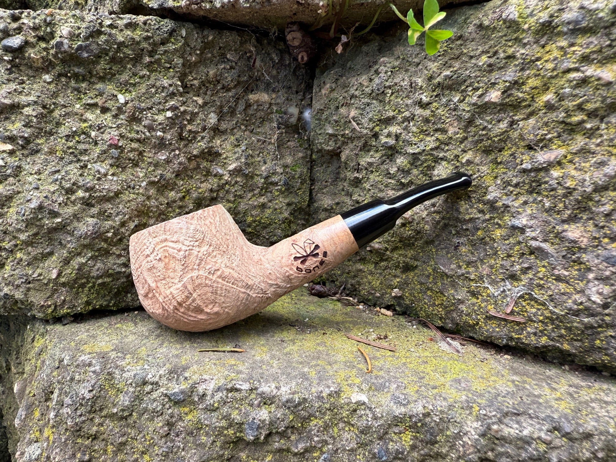 Bones – Morgan Pipes