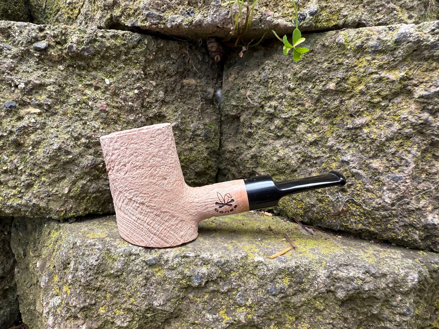 Bones- Leaning Poker