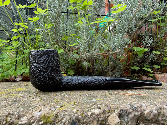 Bones- Specimen Long Liverpool