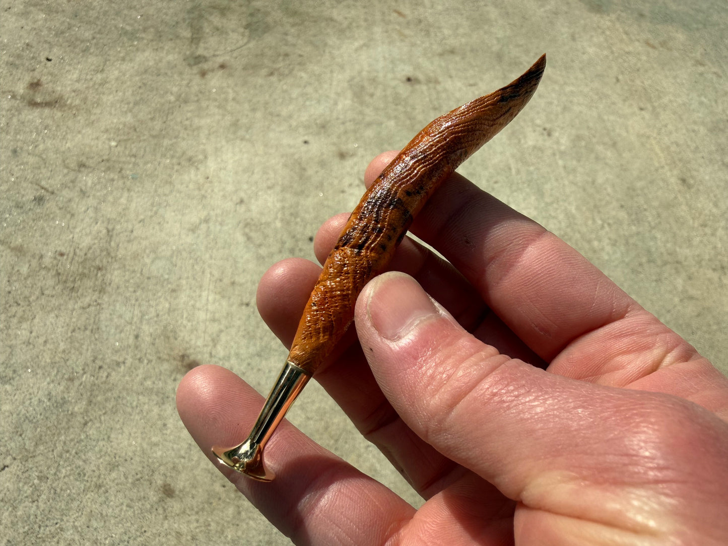 Premium Arbutus Tamper- 12