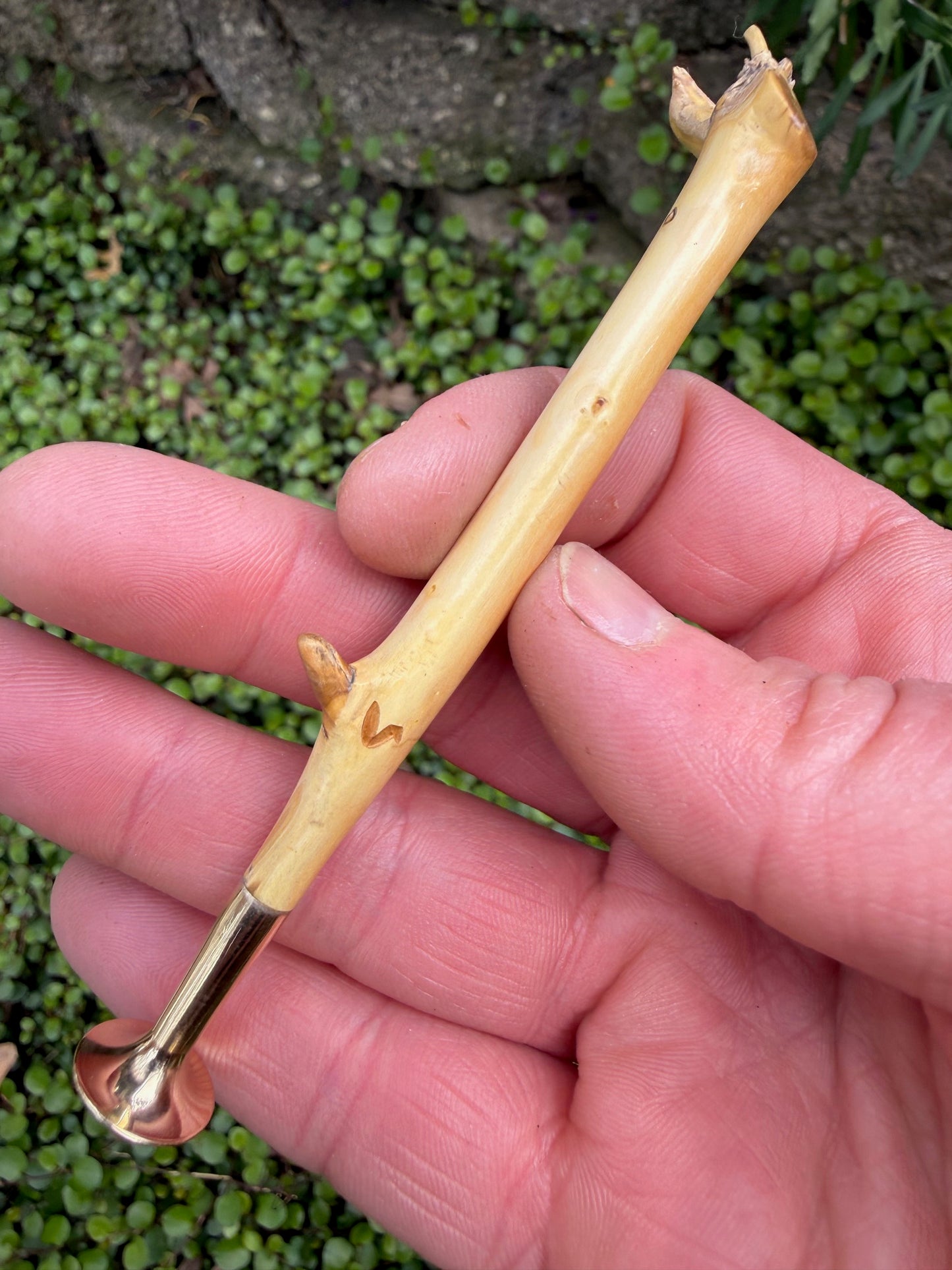 Premium Boxwood Tamper- Twig