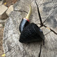 Mini Wasp RC
