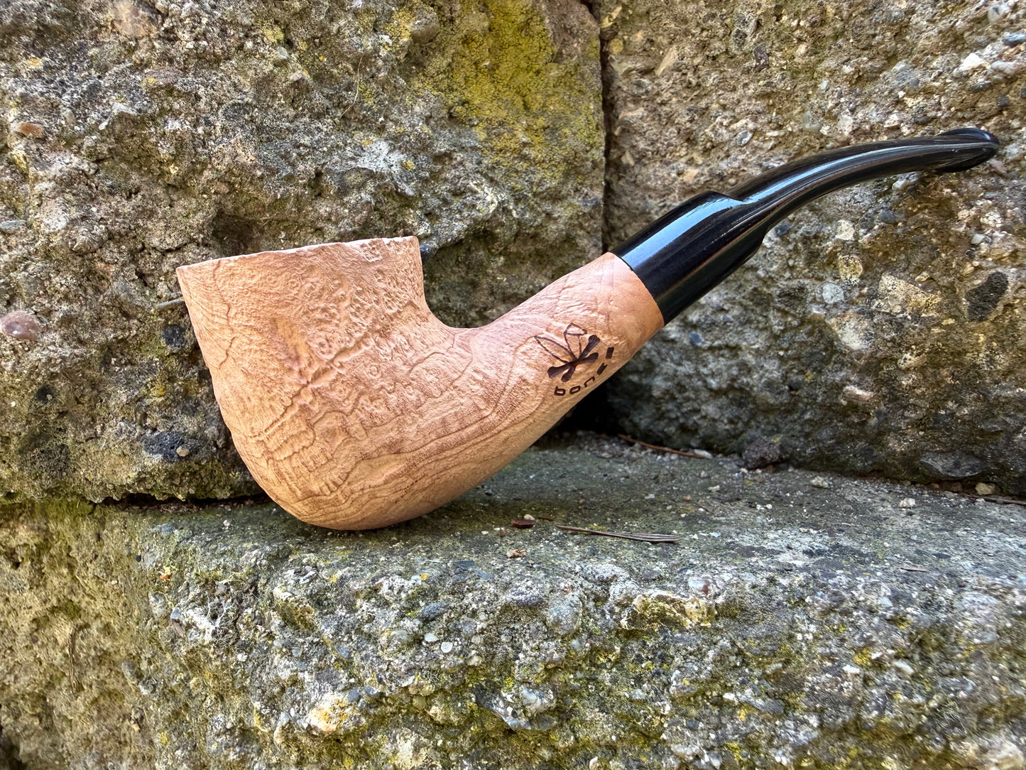 Bones- Backpacker Dublin