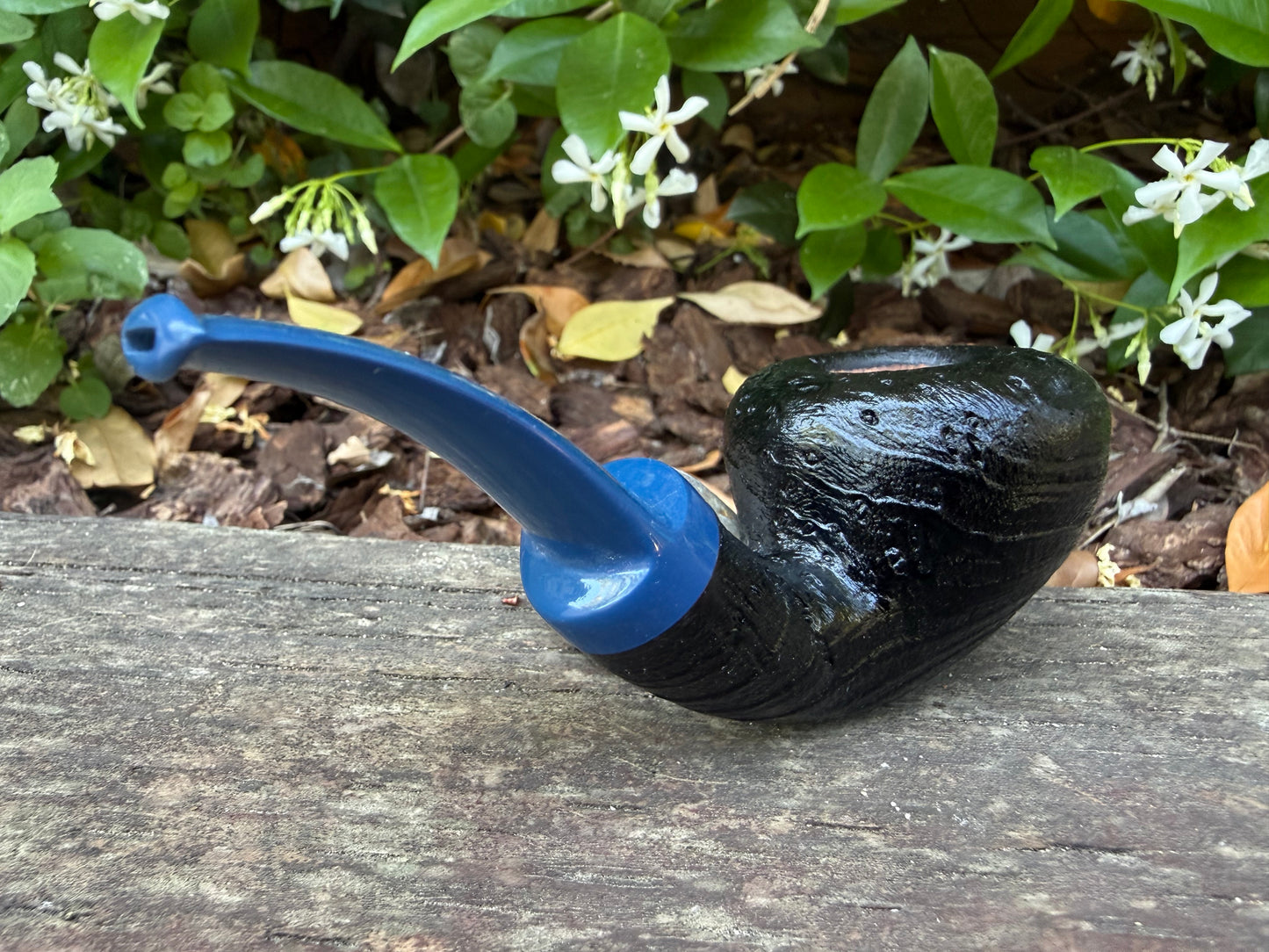 Fig